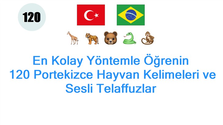 En Kolay Yöntemle Öğrenin: 120 Portekizce Hayvan Kelimeleri ve Sesli Telaffuzlar